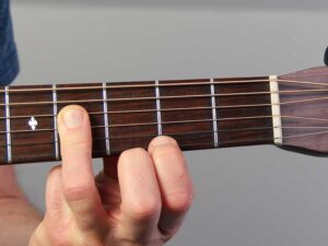 frets